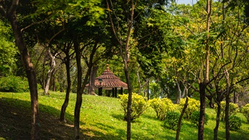 A glimpse of a Chinese style pagoda nestled in the landscape as seen from the plantation.
